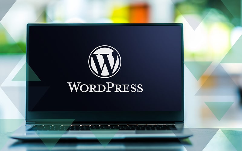 Budujte databázi kontaktů ve WordPressu – pomocí pluginů